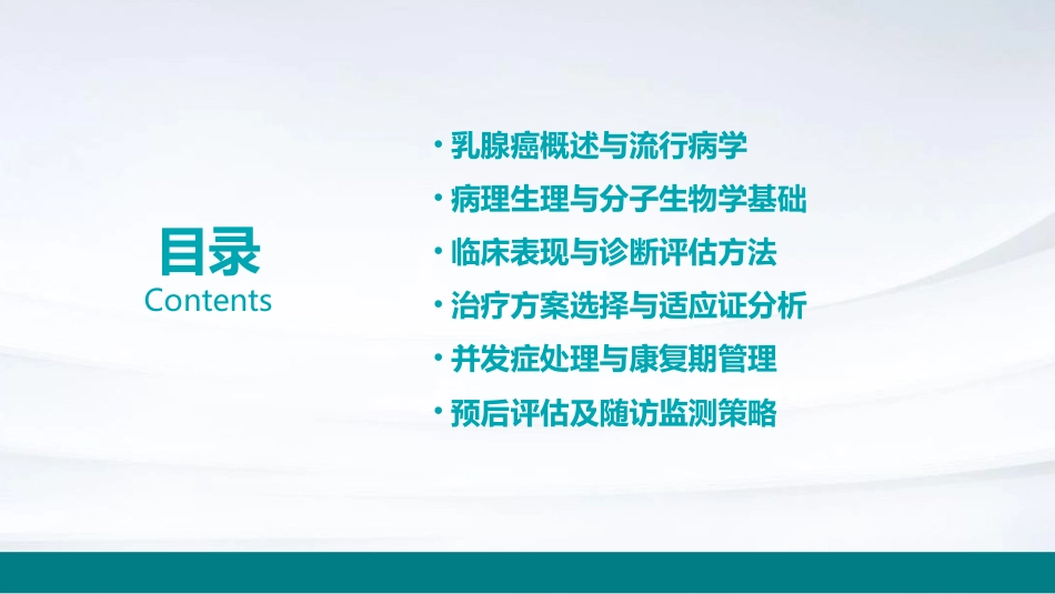 2024版CSCO乳腺癌诊疗指南解读PPT课件_第2页