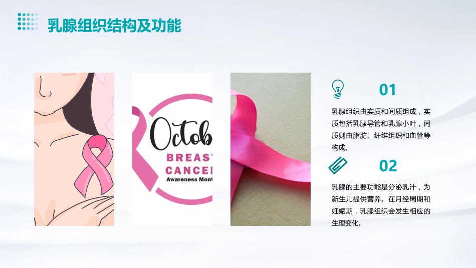 2024版CSCO乳腺癌诊疗指南解读PPT课件_第9页