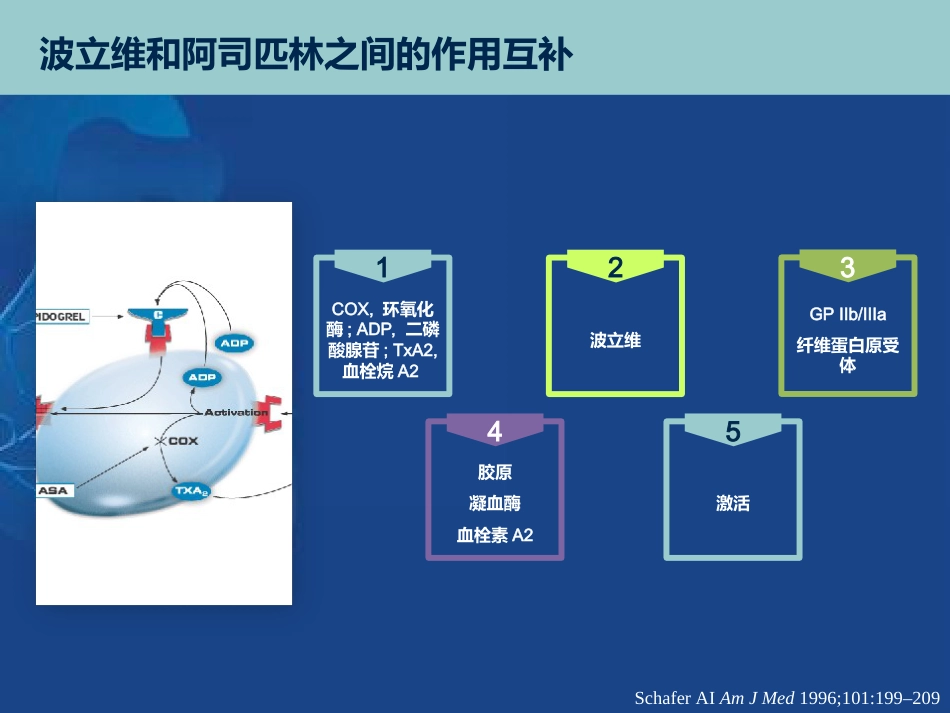 从最新指南看抗血小板药物的使用课件_第7页