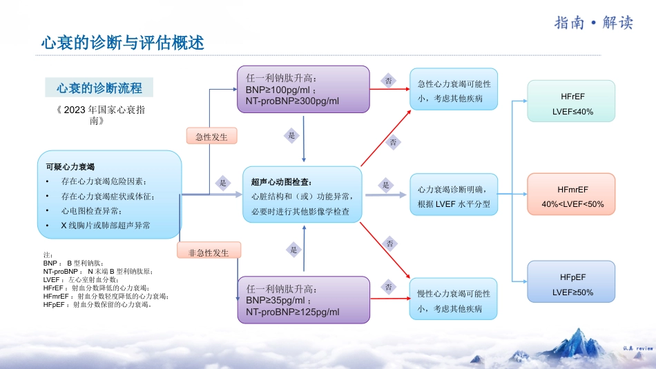 《中国心力衰竭诊断和治疗指南202X》解读_第13页