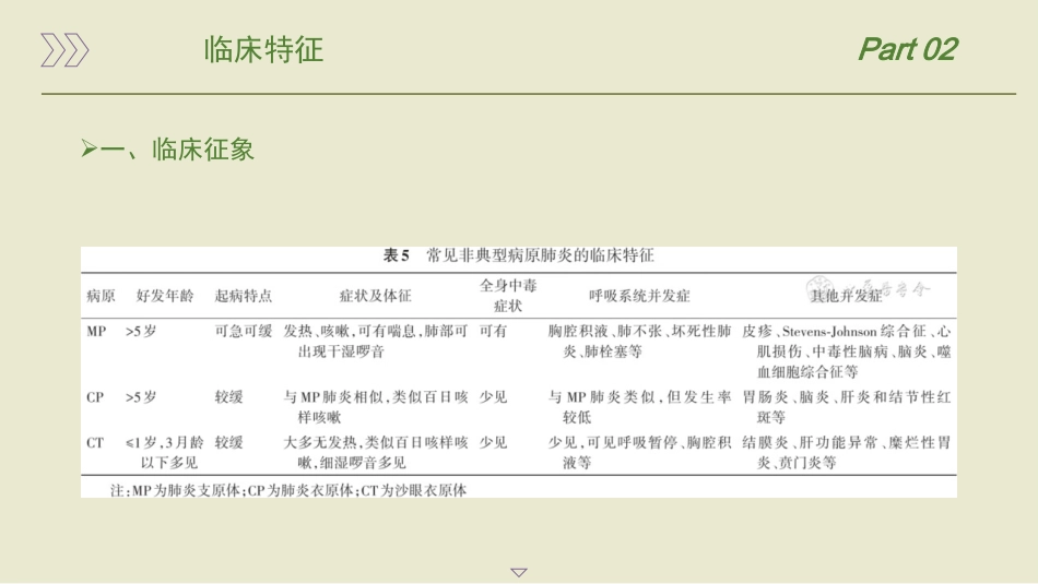 儿童社区获得性肺炎管理指南(2024年)_第12页