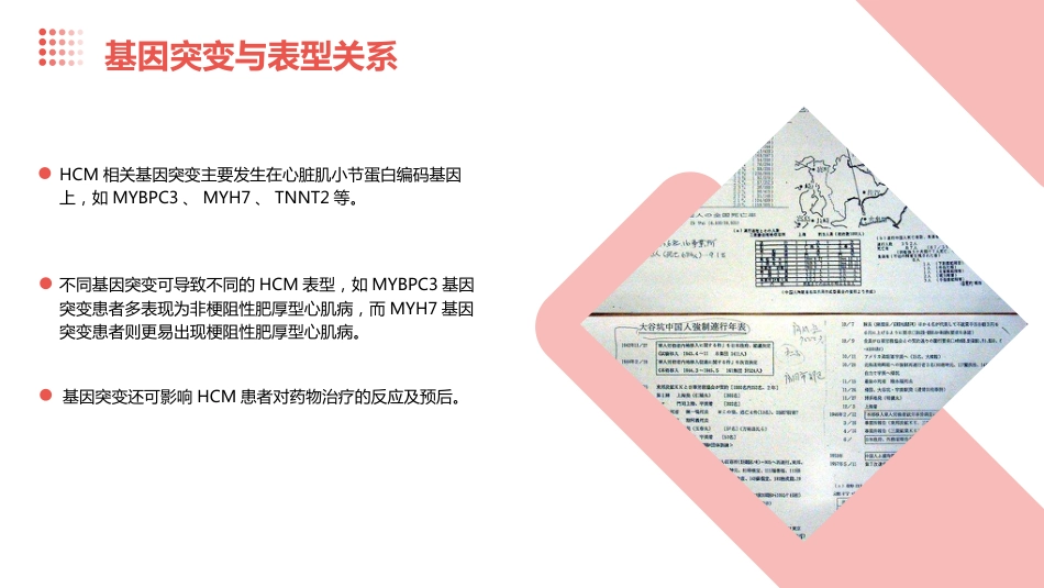 2024肥厚型心肌病指南_第10页