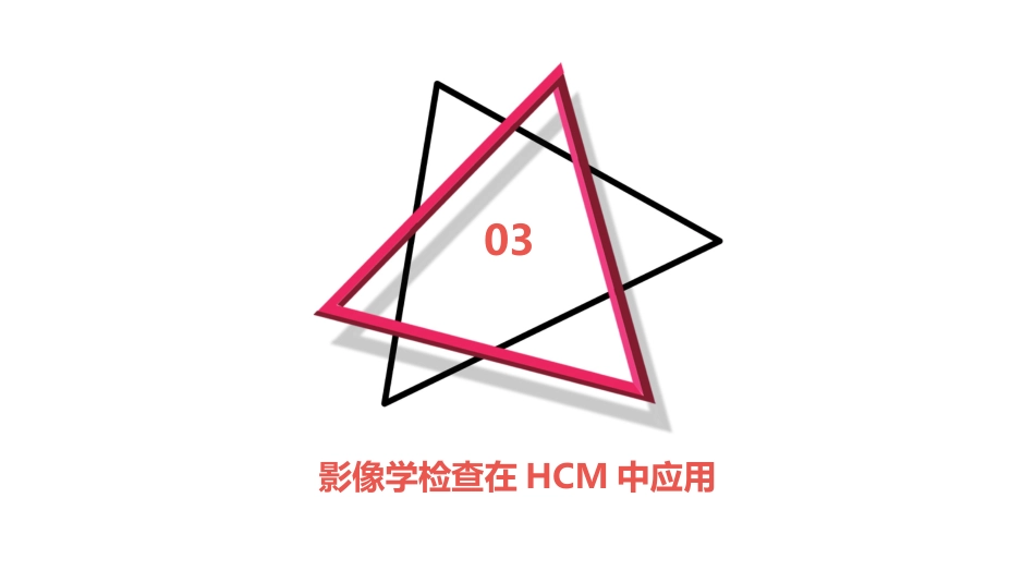 2024肥厚型心肌病指南_第13页