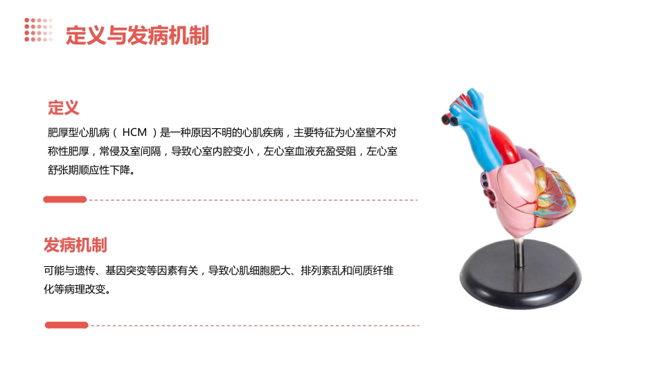 2024肥厚型心肌病指南_第4页