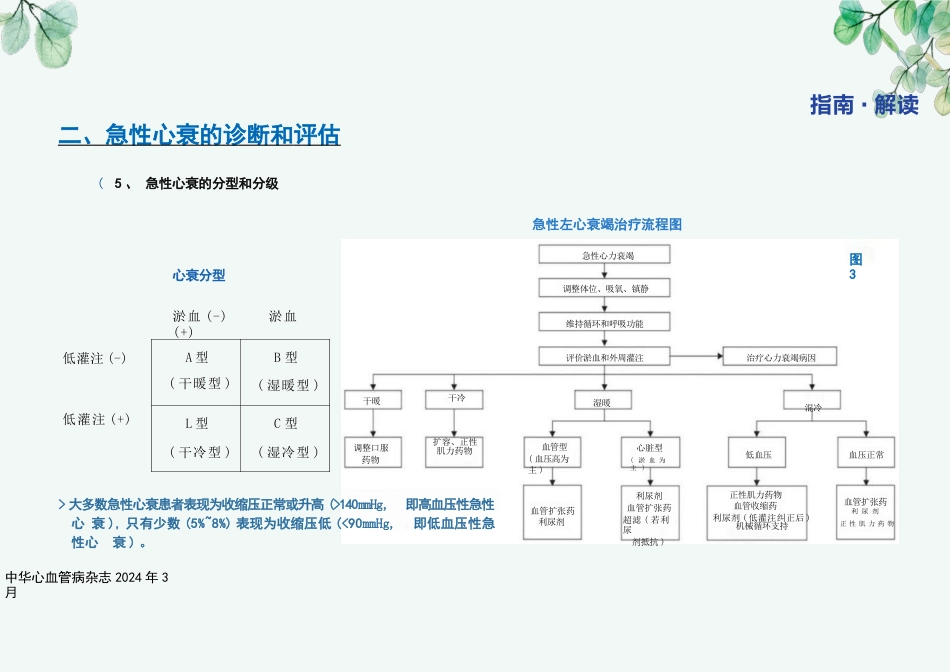 《中国心力衰竭诊断和治疗指南2024》_第13页