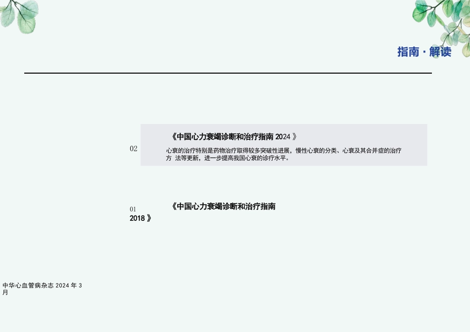 《中国心力衰竭诊断和治疗指南2024》_第2页