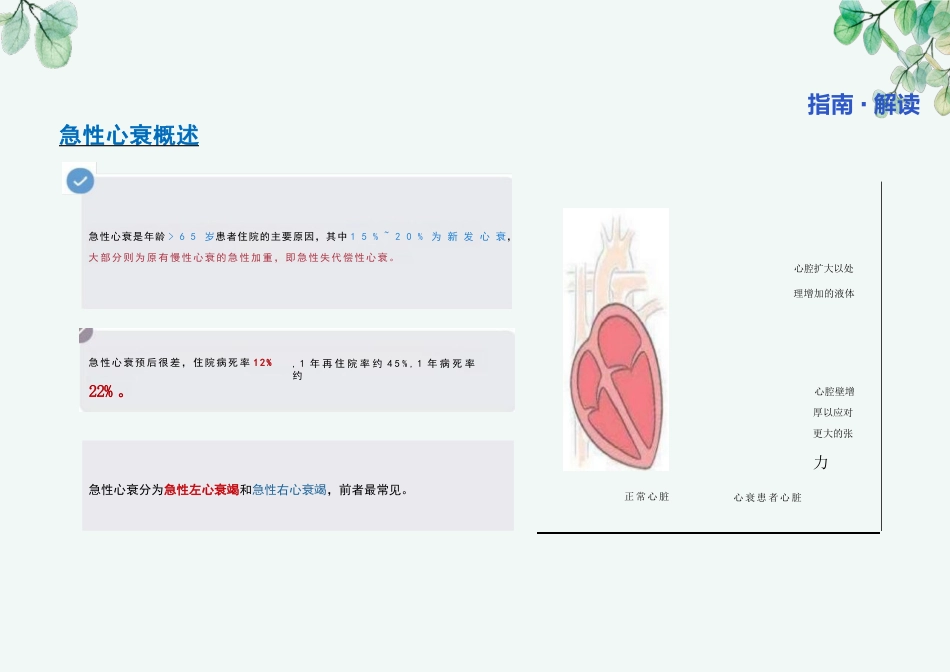 《中国心力衰竭诊断和治疗指南2024》_第3页