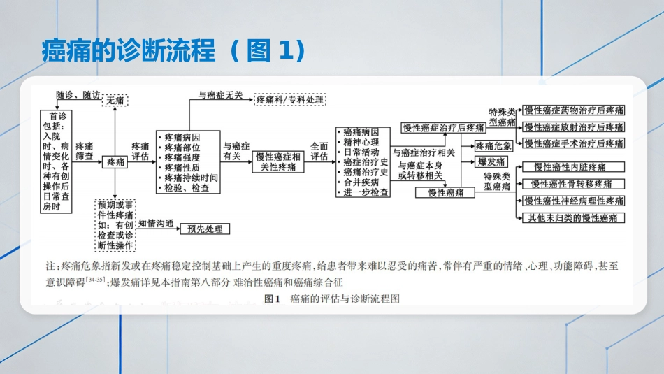 中国成人癌痛诊疗指南（202X版）解读_第13页