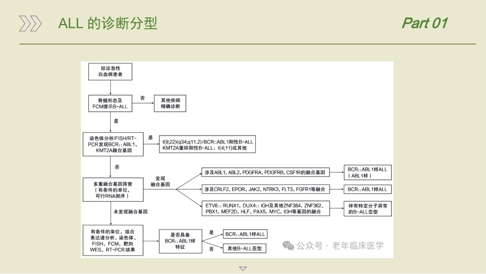 中国成人急性淋巴细胞白血病诊断与治疗指南(2024)_第15页