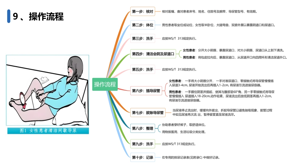 成人清洁间歇导尿护理(202X护理团体标准)_第13页