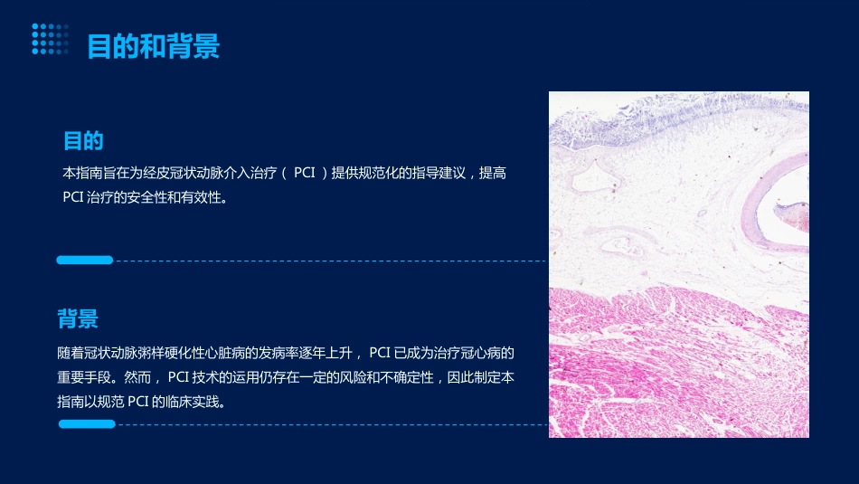 中国经皮冠状动脉介入治疗指南_第4页