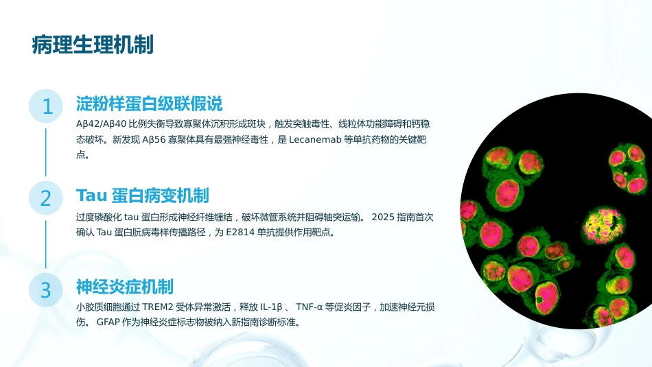 阿尔茨海默病药物治疗指南(2025)解读PPT课件_第5页