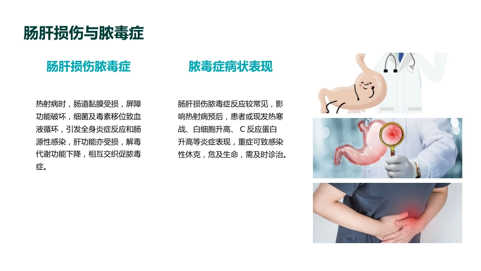 《中国热射病诊断与治疗指南(2025版)》要点解读PPT课件_第14页