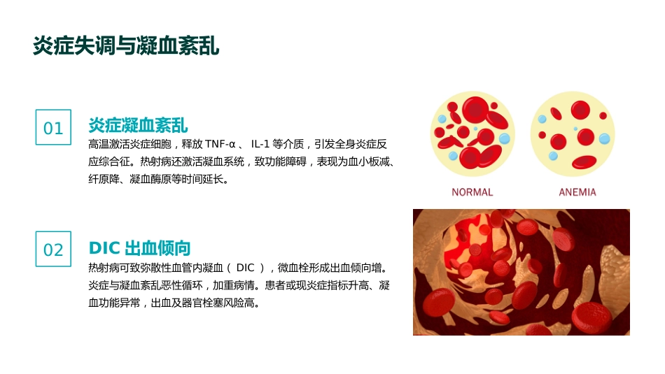 《中国热射病诊断与治疗指南(2025版)》要点解读PPT课件_第15页