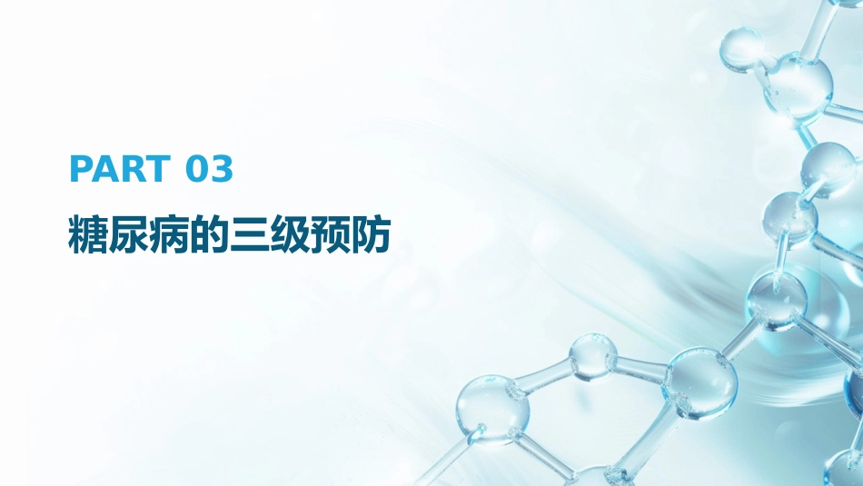 中国糖尿病防治指南(2024版)解读PPT_第13页