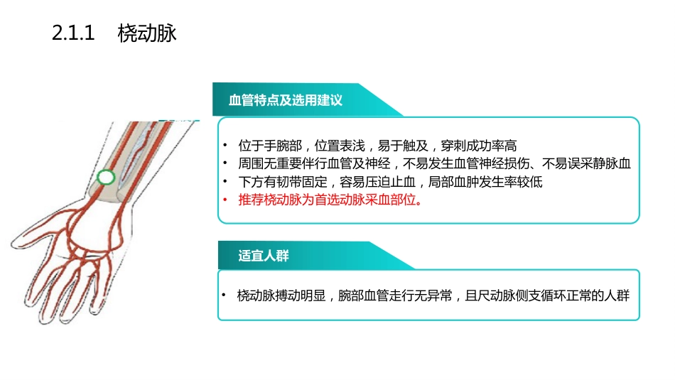 血气分析指南解读-《动脉血气分析临床操作实践标准》解读_第15页