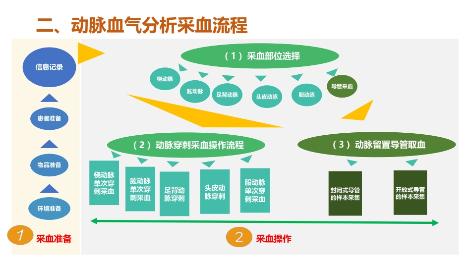 血气分析指南解读-《动脉血气分析临床操作实践标准》解读_第7页
