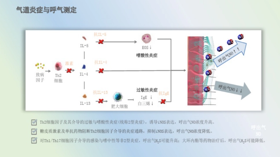 支气管哮喘防治指南(2025年版)_第6页