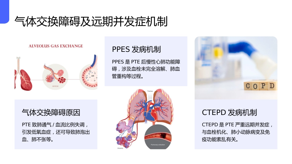 中国肺血栓栓塞症诊治、预防和管理指南(2025版)解读_第10页