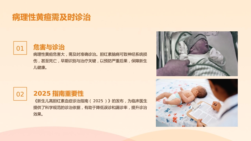 新生儿高胆红素血症诊治指南(2025)解读PPT_第6页