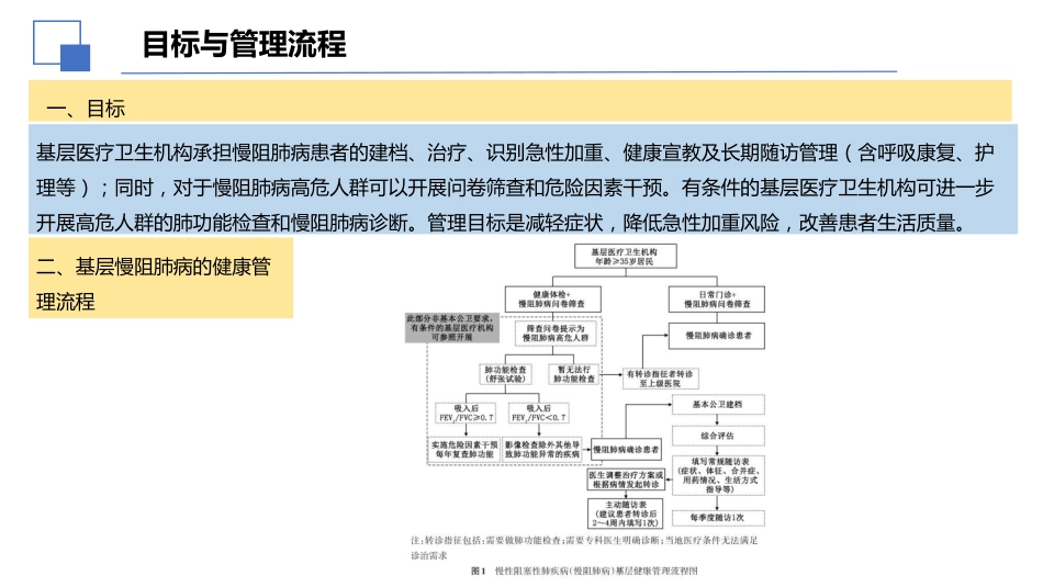2025国家基层慢性阻塞性肺疾病防治及管理实施指南解读课件PPT_第12页