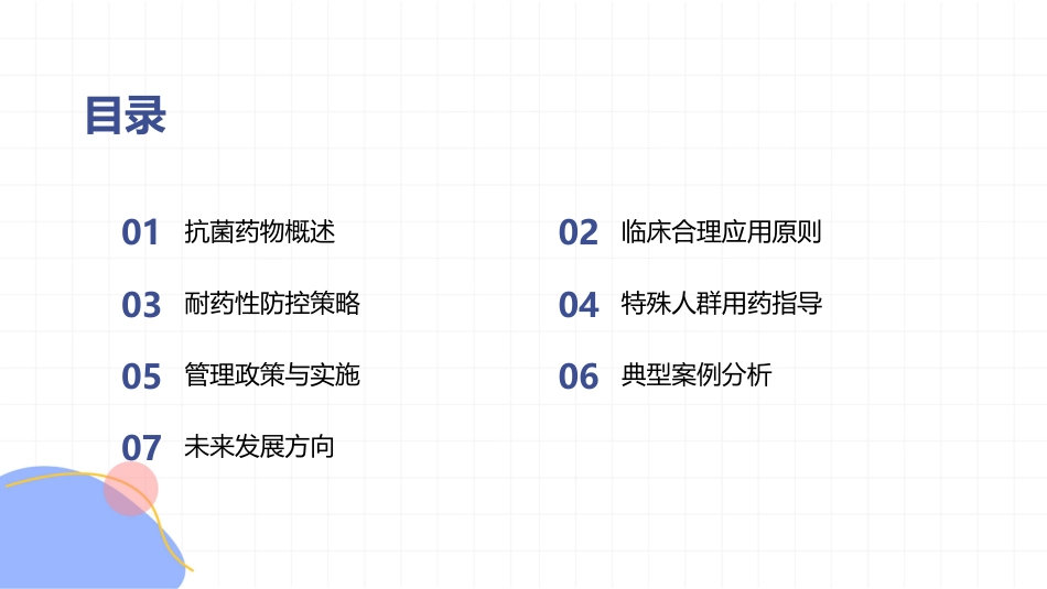 抗菌药物临床合理应用指南2026版PPT课件_第2页