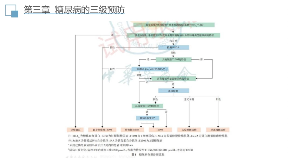 中国糖尿病防治指南(2024-版)全部要点提示与图表解读_第12页