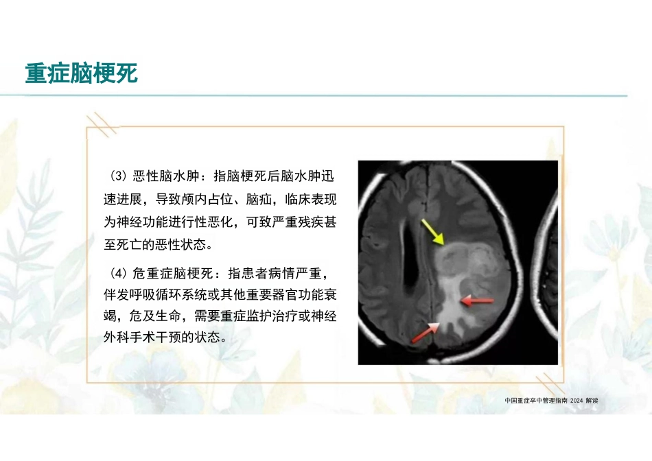 中国重症卒中管理指南2024解读_第8页