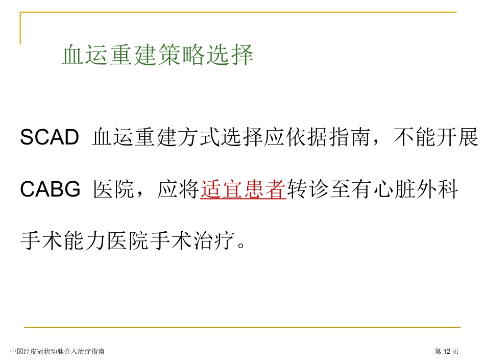 中国经皮冠状动脉介入治疗指南专家讲座2023_第12页
