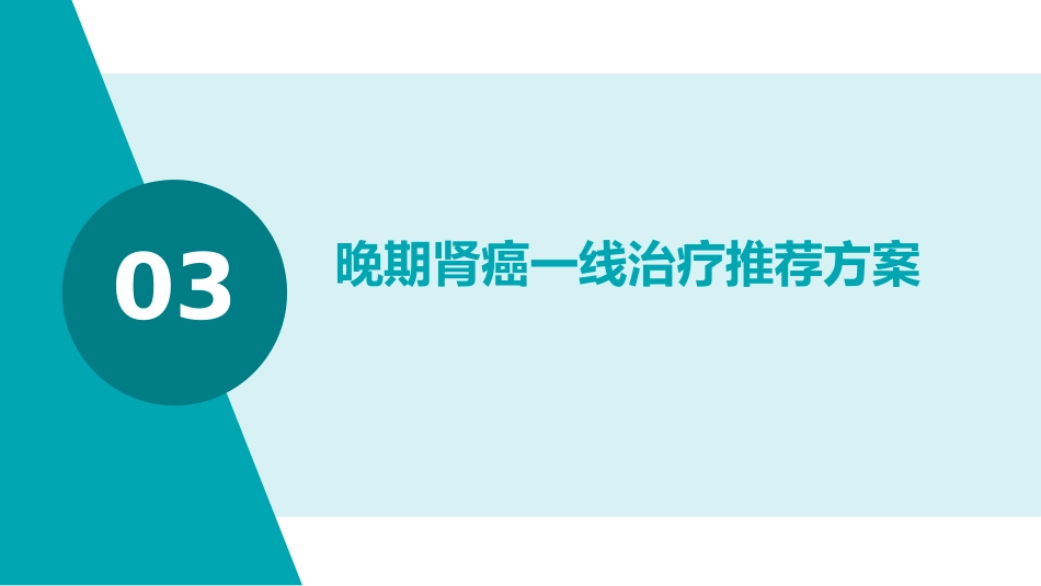 《2025年CSCO肾癌诊疗指南》全面解读PPT课件_第12页