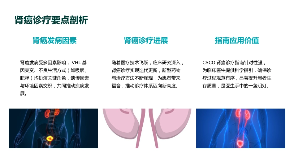 《2025年CSCO肾癌诊疗指南》全面解读PPT课件_第5页