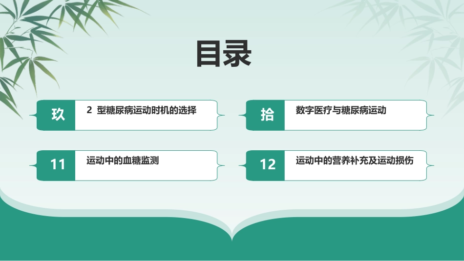 中国2型糖尿病运动治疗指南(2024版)_第4页
