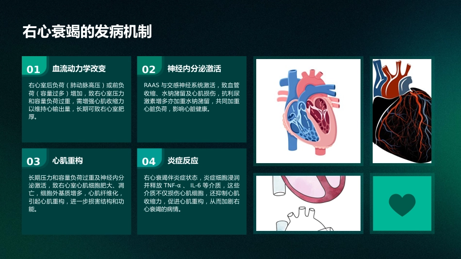 《中国心力衰竭诊断和治疗指南2024》之右心衰竭指南解读PPT课件_第13页