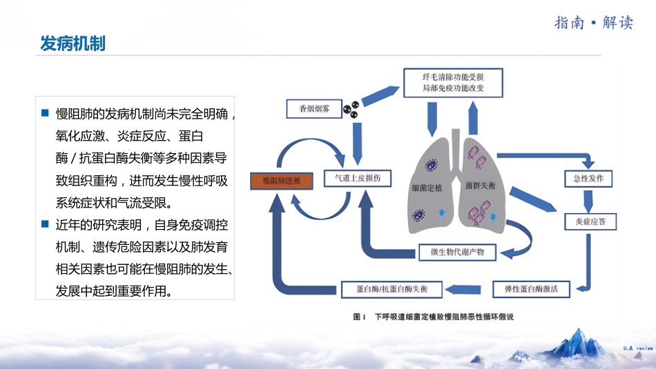 中国慢性阻塞性肺疾病基层诊疗指南(2024年)解读_第14页