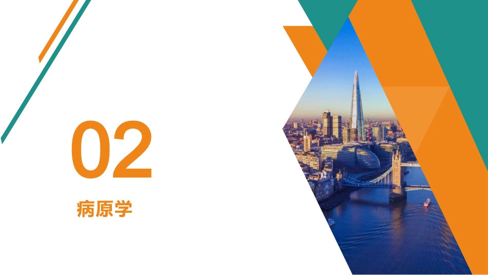 慢性乙型肝炎防治指南(2023)解读(1)全_第15页