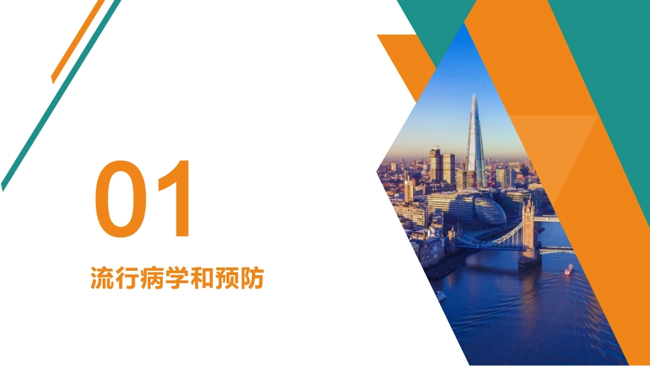 慢性乙型肝炎防治指南(2023)解读(1)全_第4页
