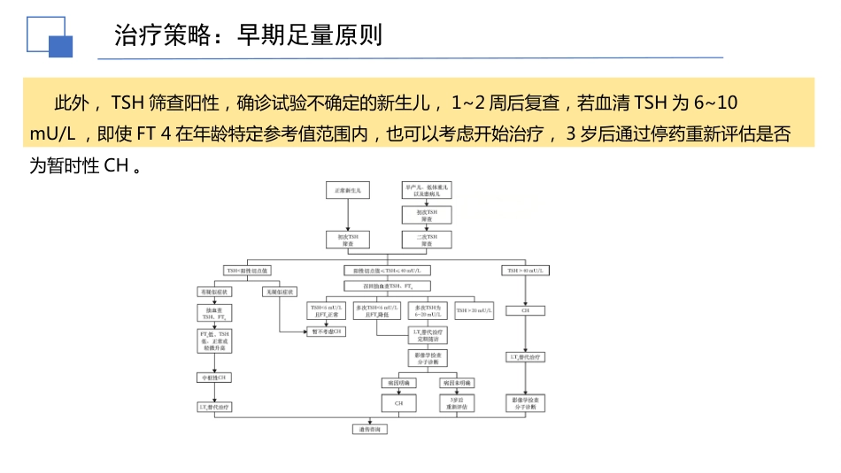 先天性甲状腺功能减退症诊治指南解读件PPT_第13页