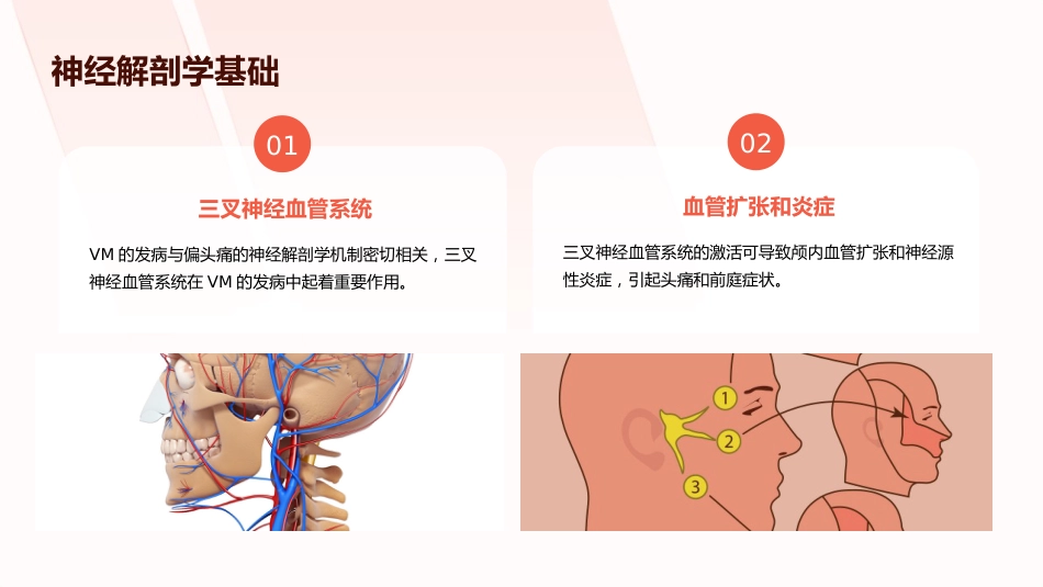 《中国前庭性偏头痛诊治指南(2026)》解读PPT课件_第14页