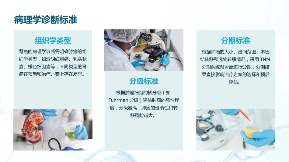 《2025年CSCO肾癌诊疗指南》解读PPT课件_第10页