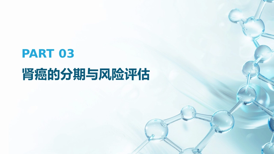 《2025年CSCO肾癌诊疗指南》解读PPT课件_第11页
