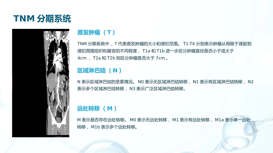 《2025年CSCO肾癌诊疗指南》解读PPT课件_第12页