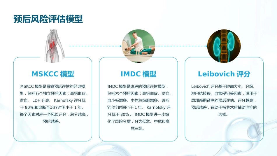 《2025年CSCO肾癌诊疗指南》解读PPT课件_第13页