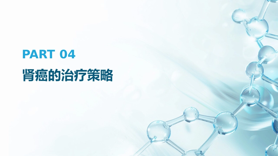 《2025年CSCO肾癌诊疗指南》解读PPT课件_第15页