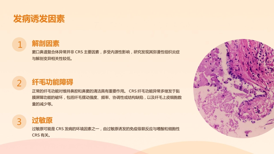 《慢性鼻窦炎诊断和治疗指南(2024)》解读_第13页