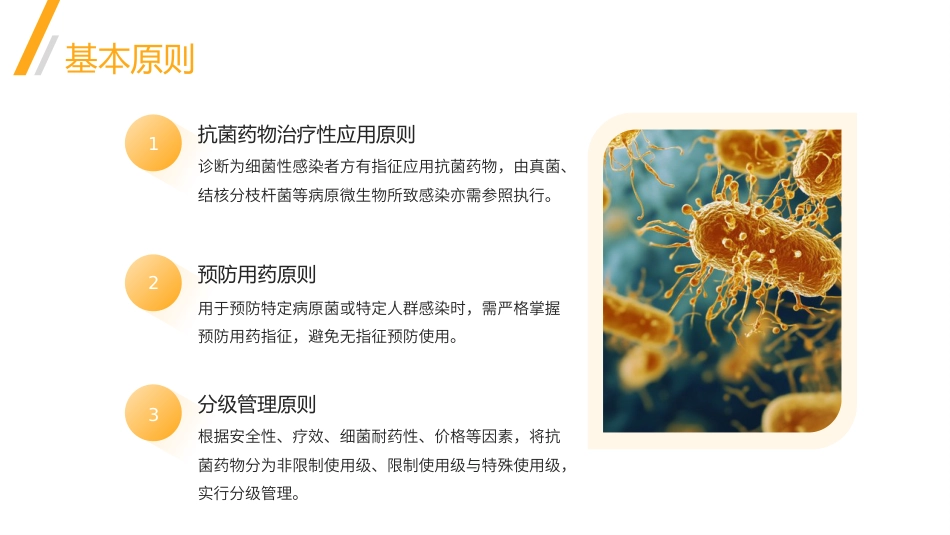 抗菌药物临床应用指导原则PPT_第6页