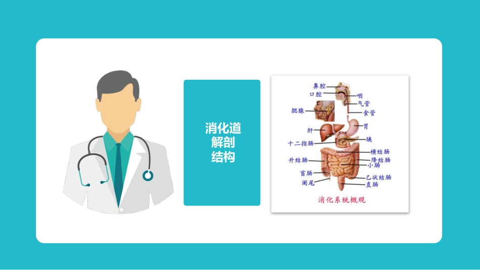 内科护理：便秘护理_第3页