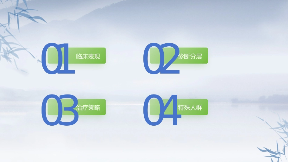 非ST段抬高型急性冠脉综合征诊断和治疗指南(2024）_第2页