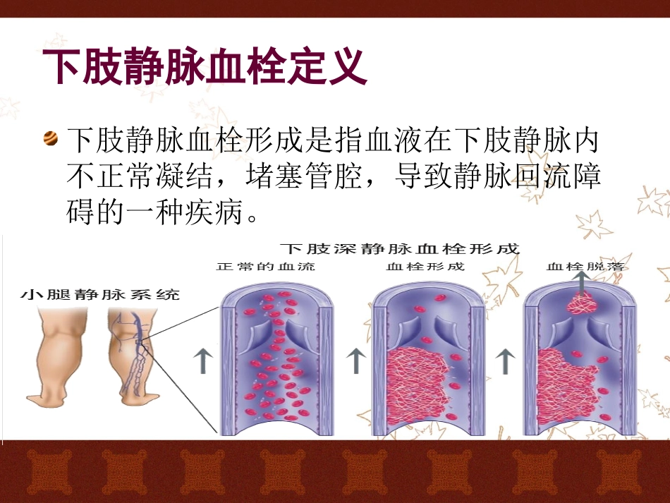 尿毒症并发深静脉血栓护理查房_第10页