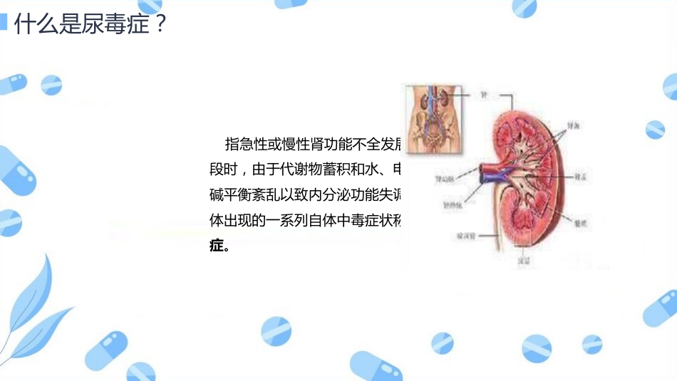 尿毒症病人的护理查房_第2页