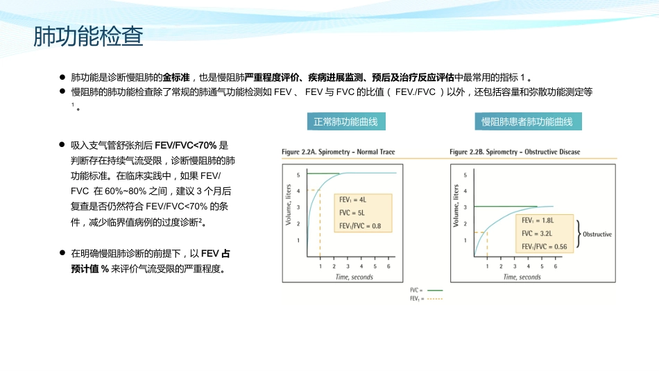 慢性阻塞性肺疾病诊治指南(2021年修订版)解读_第13页